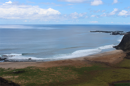Conectividade do caranguejo ameaçado Johngarthia lagostoma nas ilhas oceânicas brasileiras: integrando a circulação oceânica, informações genéticas e fenotípicas.